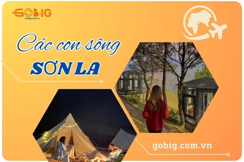 Cắm trại Sơn La: Rừng thông Bản Áng, Pu Nhi Hill và Đỉnh Gió Tà Xùa