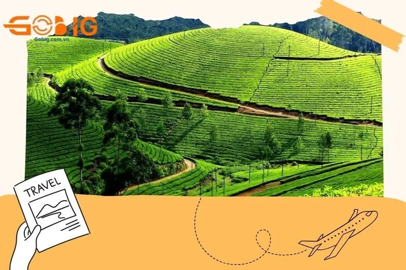 cao nguyên Mộc Châu