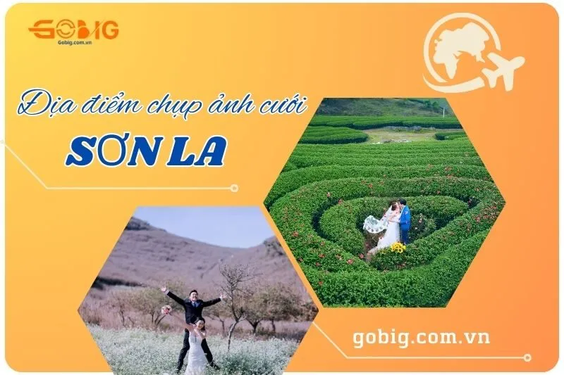 Khám phá Top 10+ địa điểm chụp ảnh cưới Sơn La đẹp nhất 2025: Đồi chè, Mộc Châu