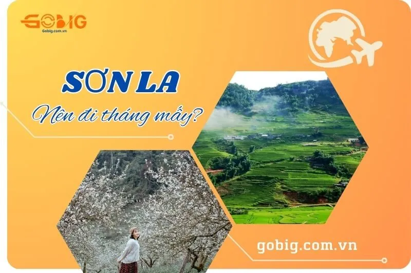 Sơn La nên đi tháng mấy để tận hưởng thời tiết đẹp nhất?