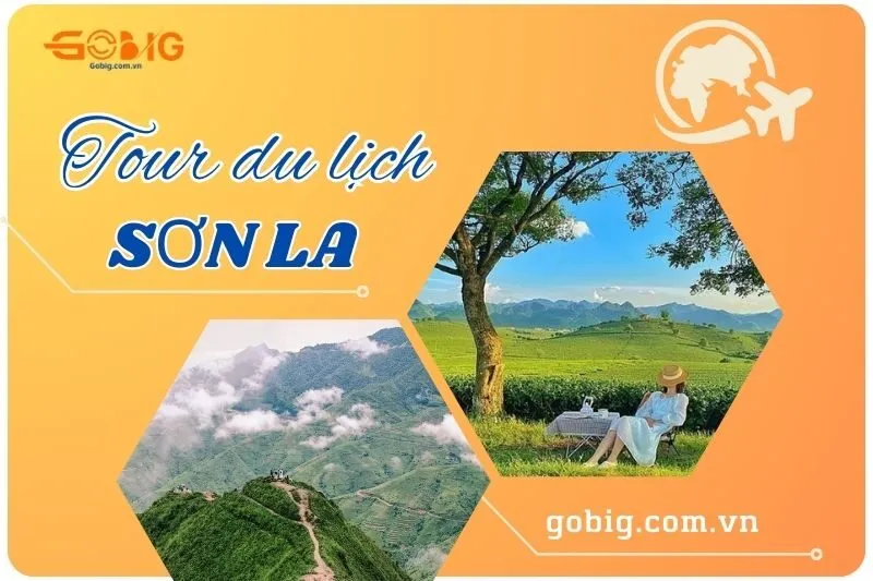 Tour du lịch Sơn La 2025: Khám phá Mộc Châu, Tà Xùa, Đèo Pha Đin và Nhà tù Sơn La