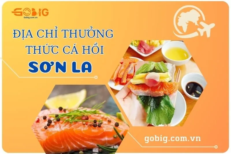 Top 11 Địa Chỉ Thưởng Thức Cá Hồi Sơn La - Cẩm Nang Ẩm Thực