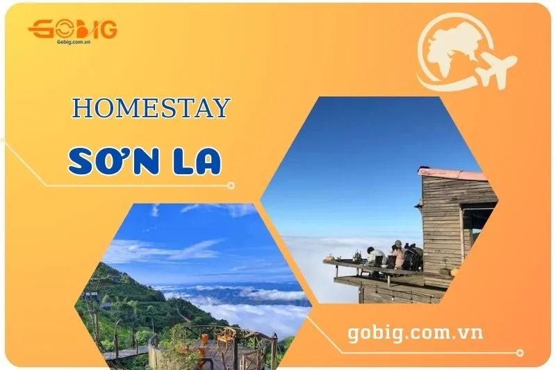 Top 5 Homestay Sơn La Đẹp Nhất: Săn Mây, Nghỉ Dưỡng Lý Tưởng