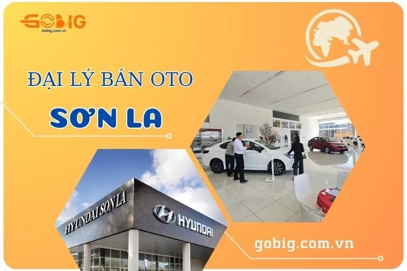 Top 6 Đại Lý Bán Ô Tô Sơn La Uy Tín: Honda, Hyundai, Toyota
