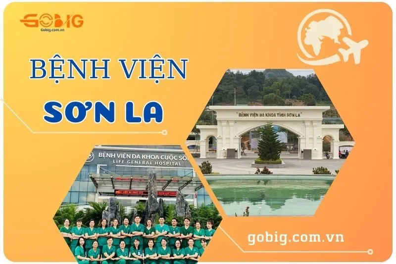 Top 9 Bệnh Viện Tốt Sơn La: Địa Chỉ, Dịch Vụ, Đánh Giá