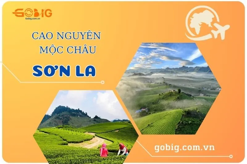 Khám Phá Cao Nguyên Mộc Châu Sơn La 2025: Điểm Đến Tuyệt Vời