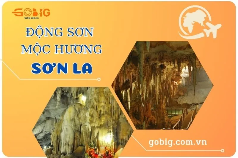 Khám phá Động Sơn Mộc Hương Sơn La 2025 - Điểm đến kỳ thú