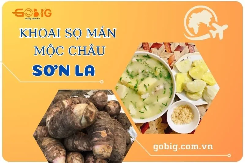 Khám phá khoai sọ mán Mộc Châu Sơn La 2025 - Đặc sản Tây Bắc