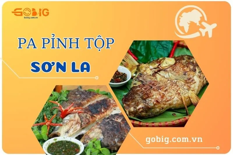 Pa Pỉnh Tộp Sơn La 2025: Đặc Sản Tây Bắc Và Cách Thưởng Thức