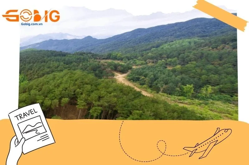 Rừng thông Noong Cốp