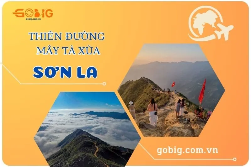 Thiên đường mây Tà Xùa Sơn La 2025: Sống lưng khủng long và hơn thế
