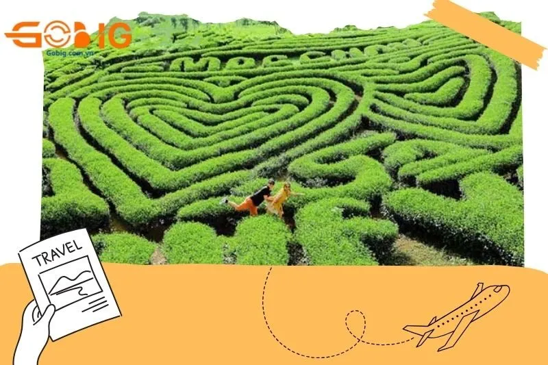 Tổng quan về Đồi Chè Trái Tim Mộc Châu
