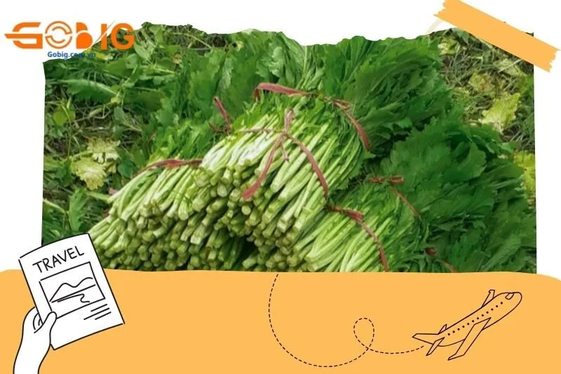 Vị đăng đắng nhưng lại là món khoái khẩu của nhiều người
