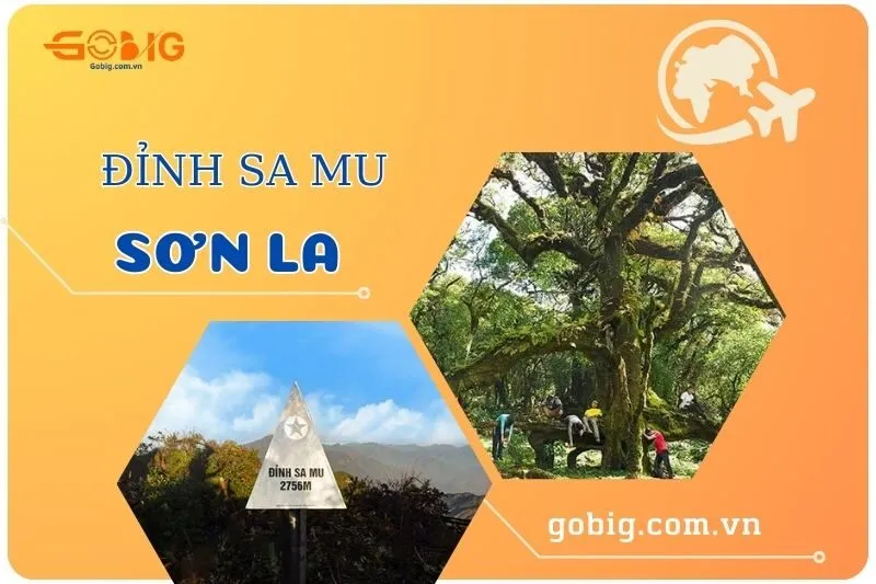 Khám Phá Đỉnh Sa Mu Sơn La 2025: Hành Trình Trekking Tuyệt Vời
